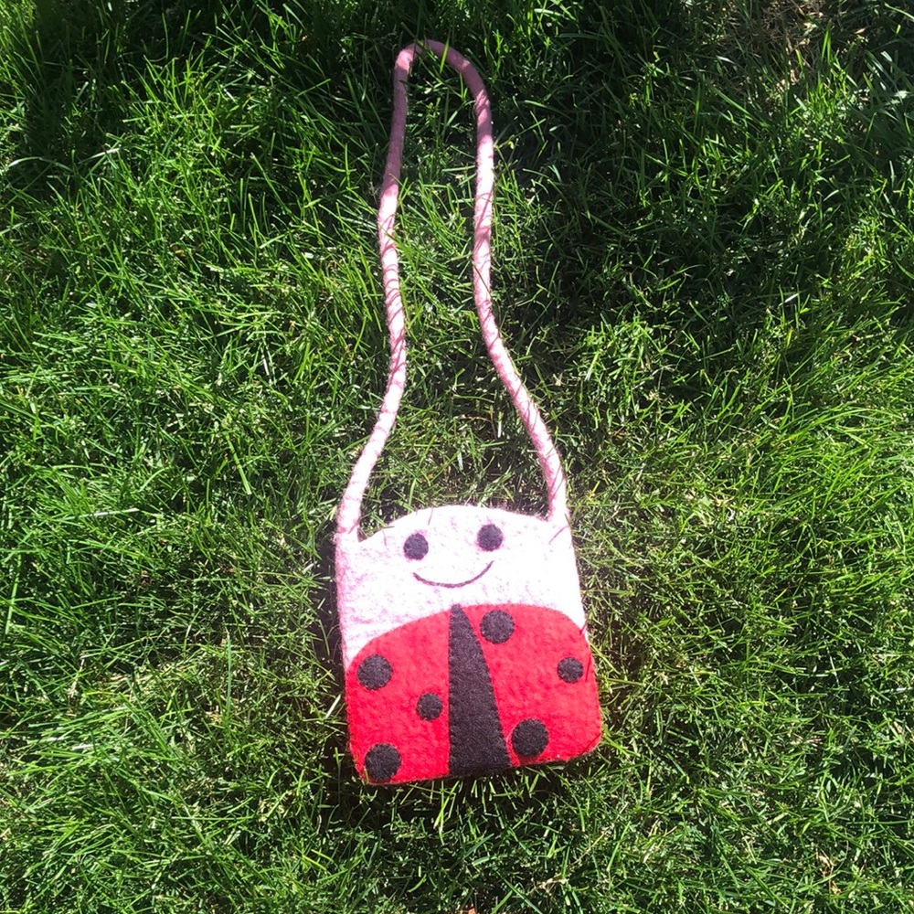 Needle felted ladybug bag